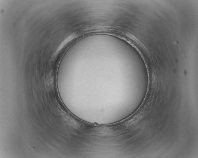 X0000078231450200611171422