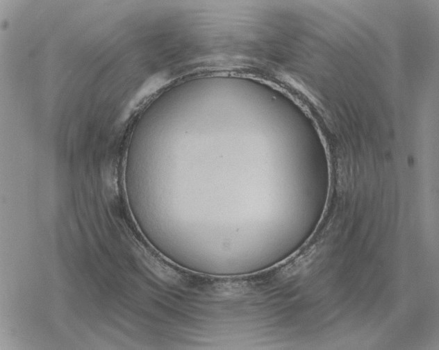 X0000078231451200611171422