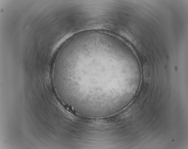 X0000078231452200611171422