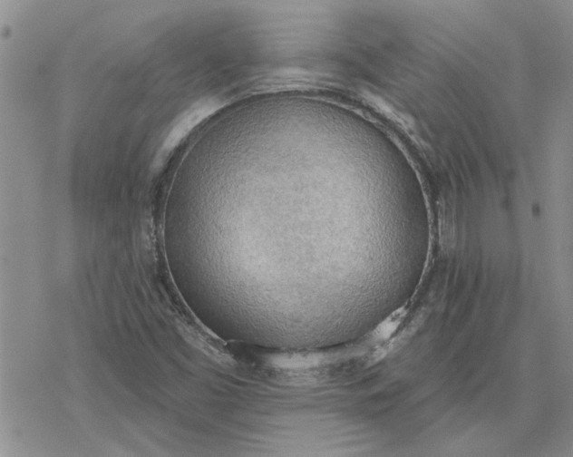 X0000078231453200611171422