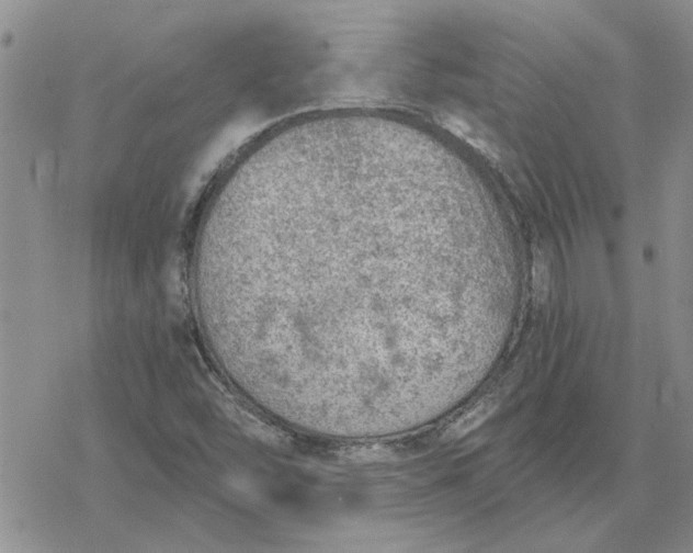 X0000078231454200611171422