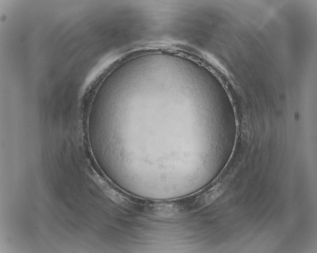 X0000078231456200611171422