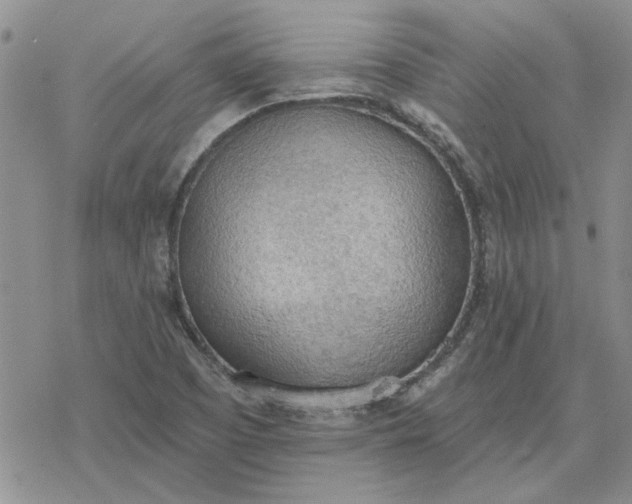 X0000078231457200611171422