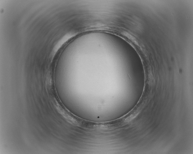 X0000078231458200611171422