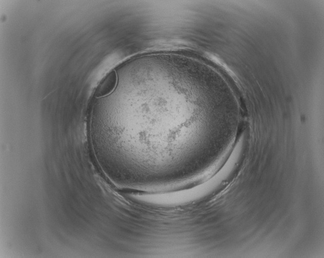 X0000078231459200611171421