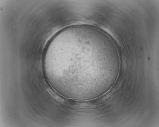 X0000078231460200611171421