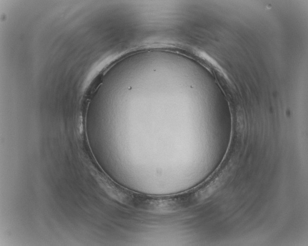 X0000078231461200611171421