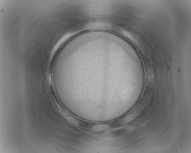 X0000078231462200611171421