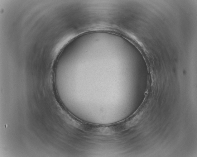 X0000078231463200611171421