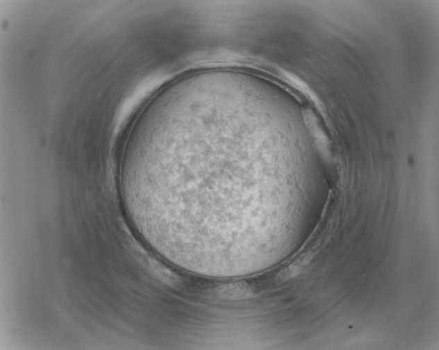 X0000078231464200611171421