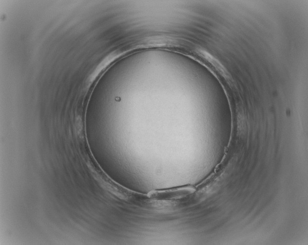 X0000078231465200611171421