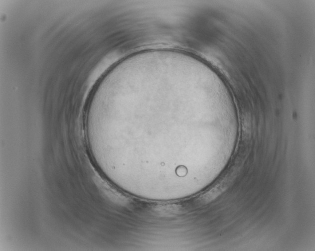 X0000078231466200611171421