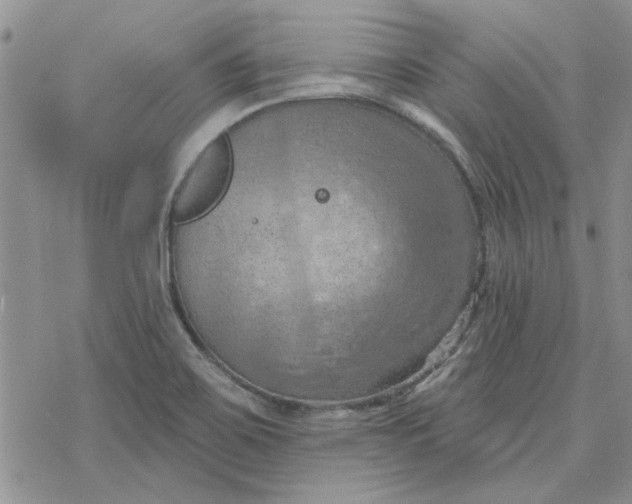 X0000078231467200611171421