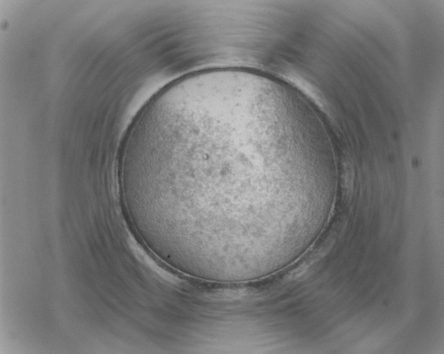 X0000078231468200611171421