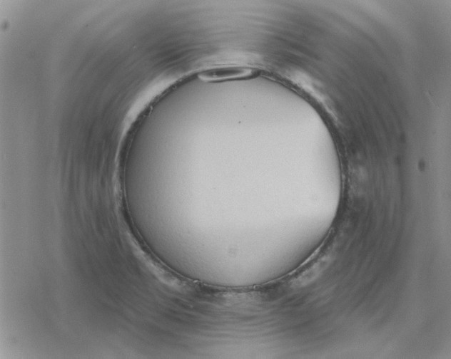 X0000078231469200611171421