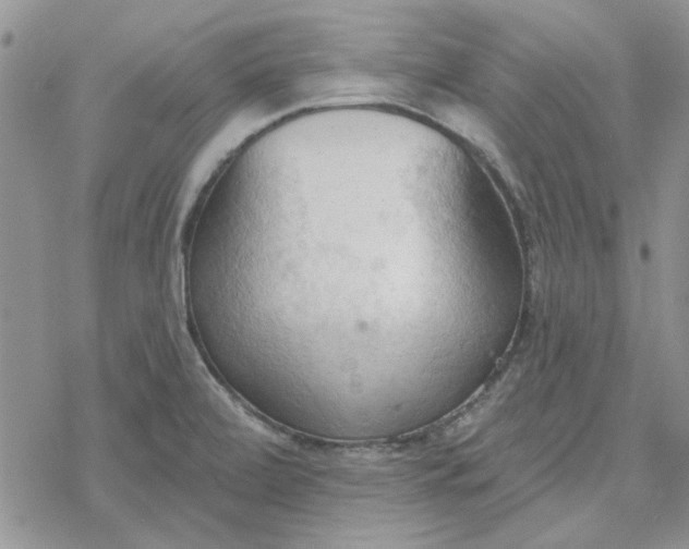 X0000078231472200611171421