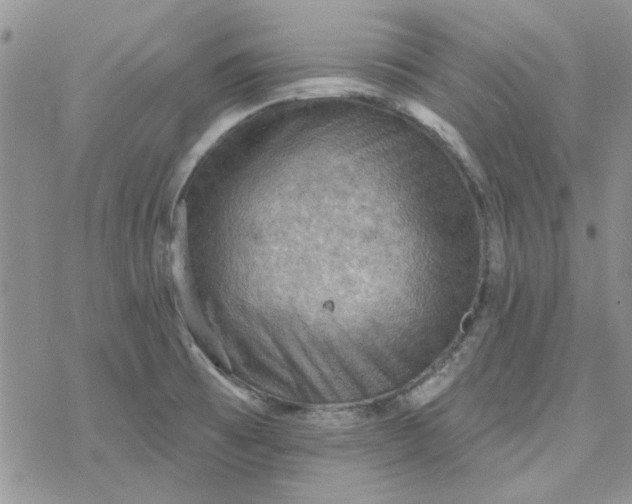 X0000078231473200611171421