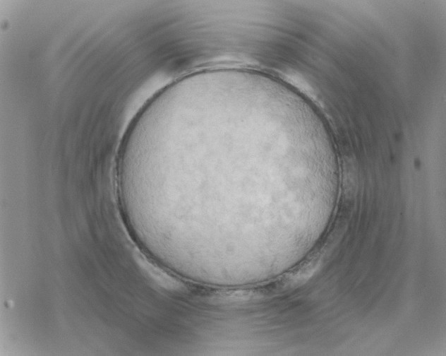 X0000078231474200611171421