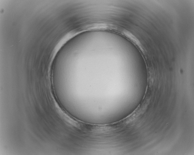 X0000078231475200611171421