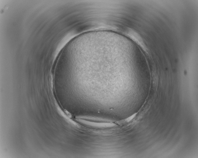 X0000078231476200611171421