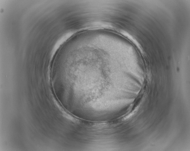 X0000078231477200611171421