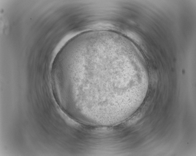 X0000078231478200611171421