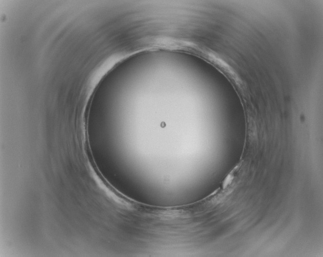 X0000078231479200611171421