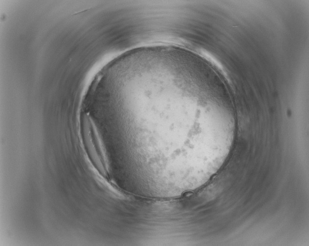 X0000078231480200611171421