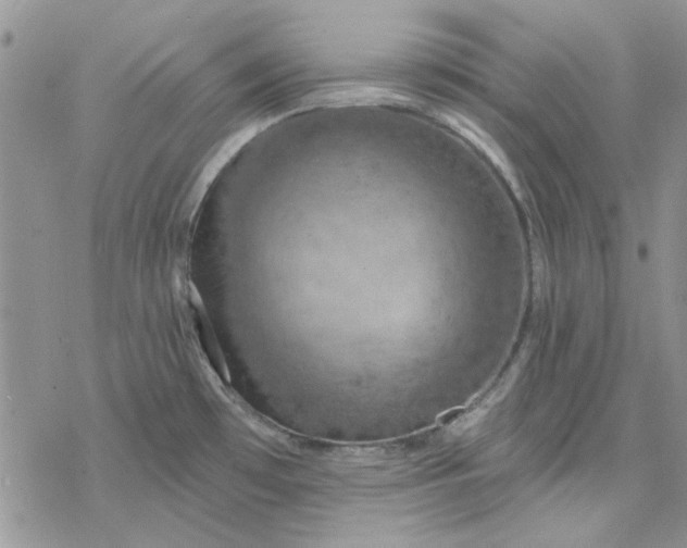 X0000078231481200611171421