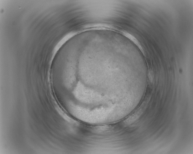 X0000078231482200611171421