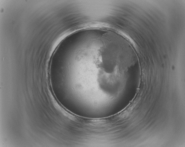 X0000078231483200611171421