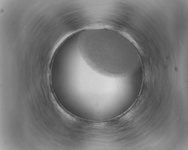 X0000078231484200611171421