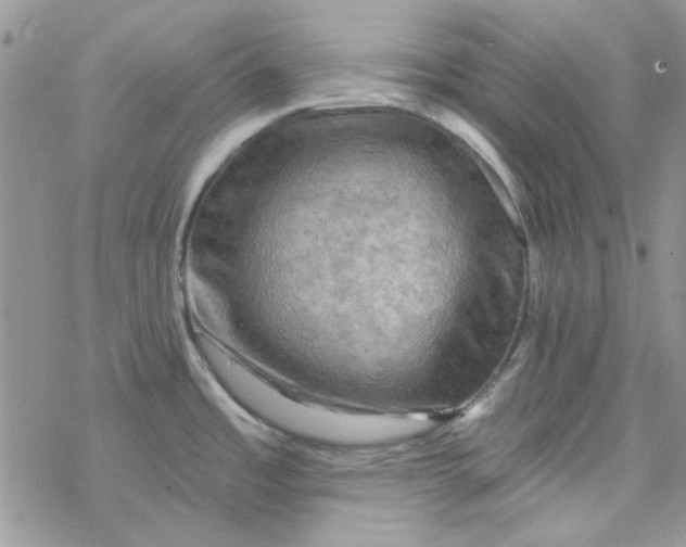 X0000078231485200611171421