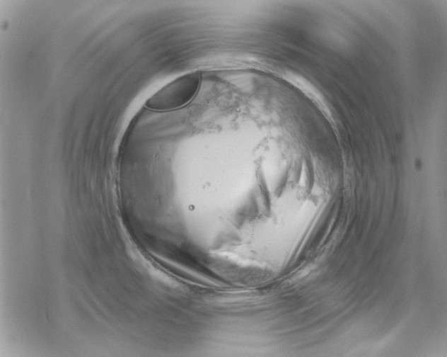 X0000078231486200611171421