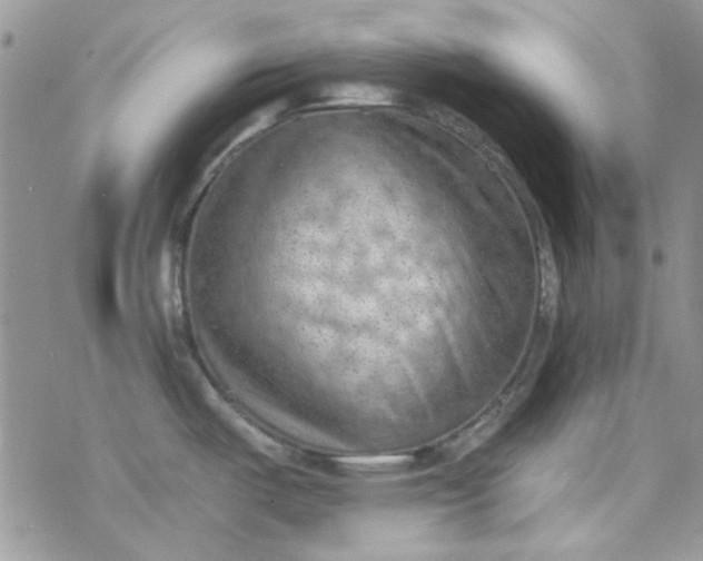 X0000078231487200611171421