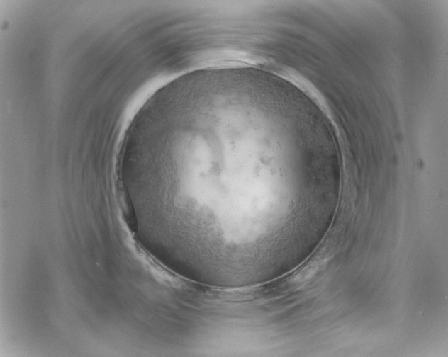 X0000078231488200611171421