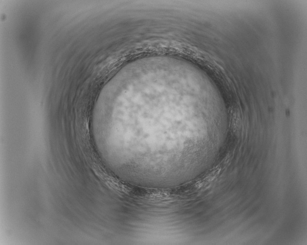 X0000078231489200611171420