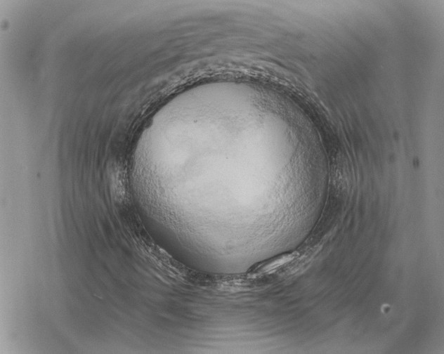 X0000078231490200611171420