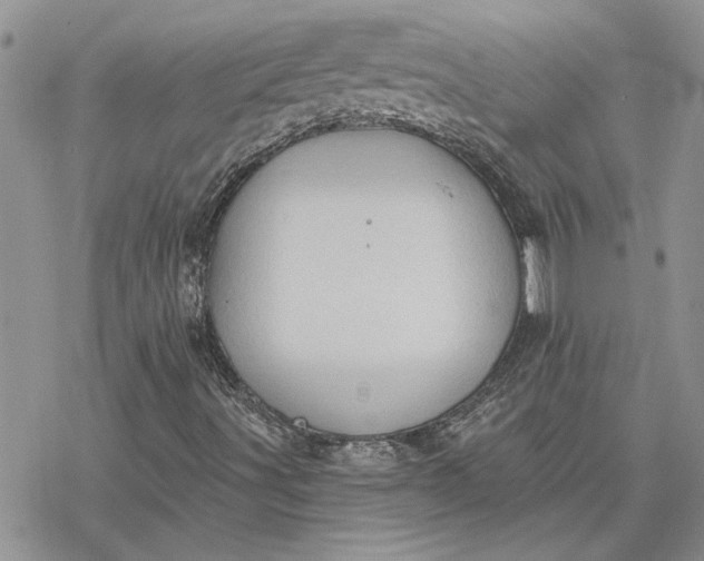 X0000078231491200611171420