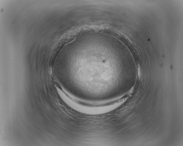 X0000078231492200611171420