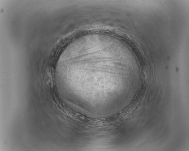 X0000078231493200611171420