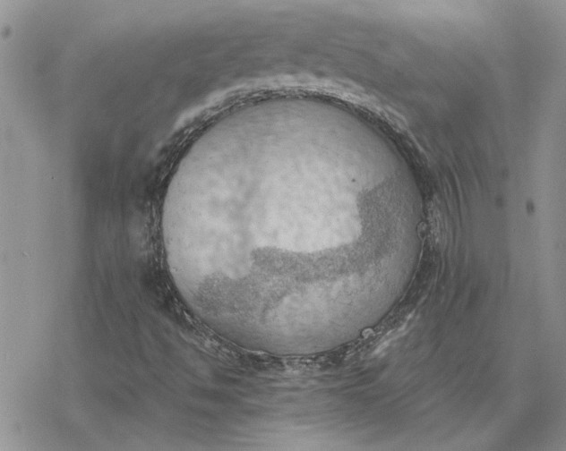 X0000078231494200611171420