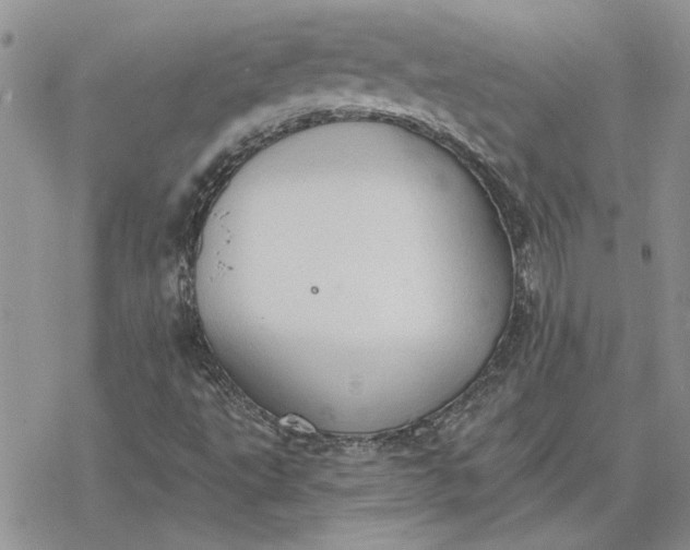 X0000078231495200611171420