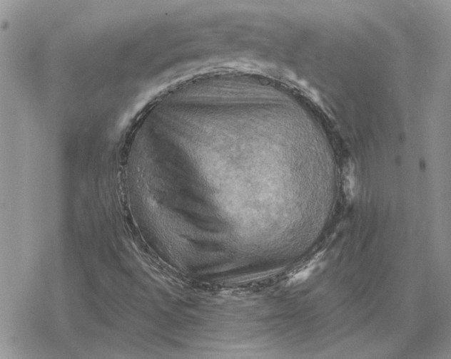 X0000078231496200611171420