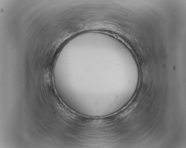 X0000078231497200611171420