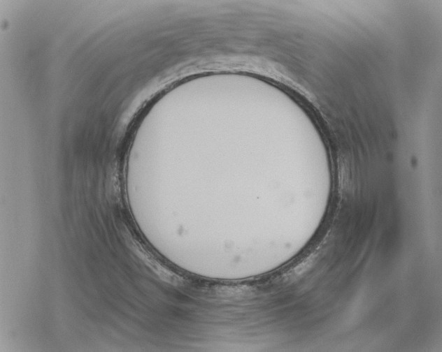 X0000078231498200611171420