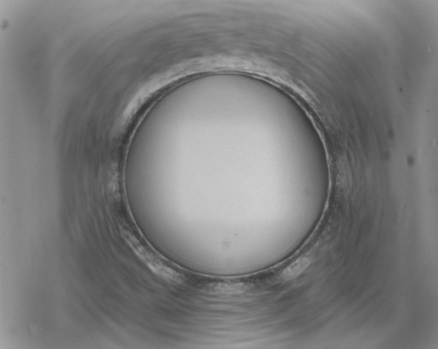 X0000078231499200611171420