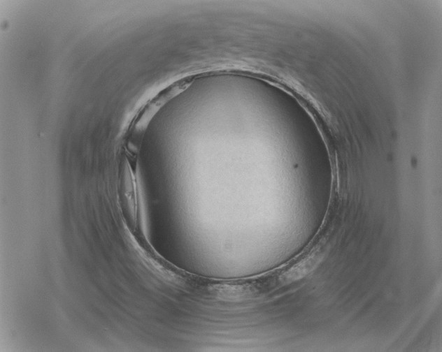 X0000078231500200611171420