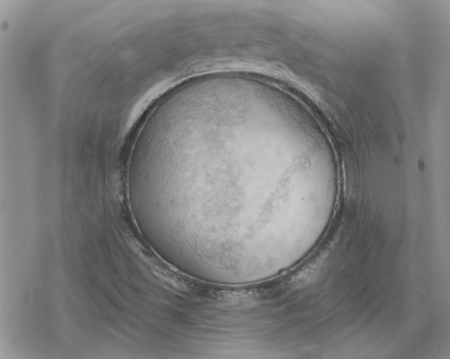 X0000078231501200611171420