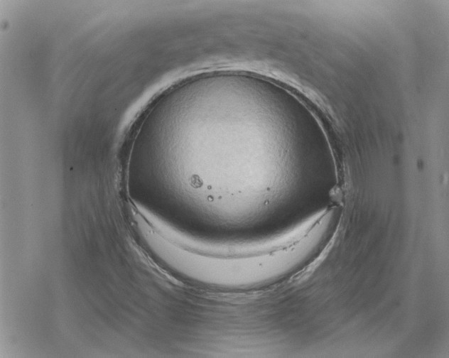 X0000078231502200611171420